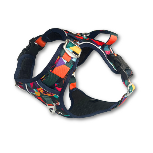 Twiggy Tags Adventure Harness Aurora Size 4 Chest Girth 55-83cm
