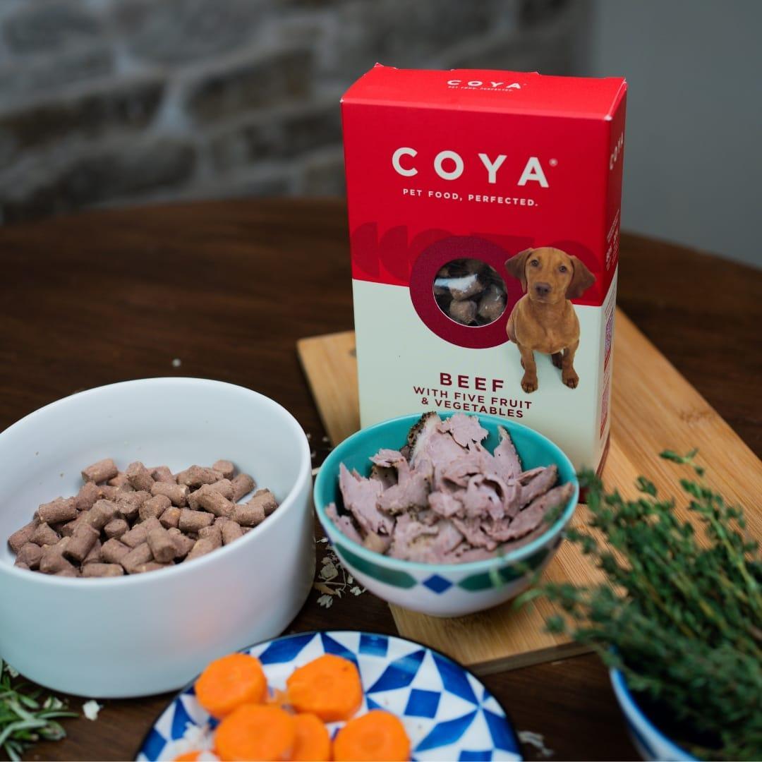 Coya Adult Dog Food - Beef 150g