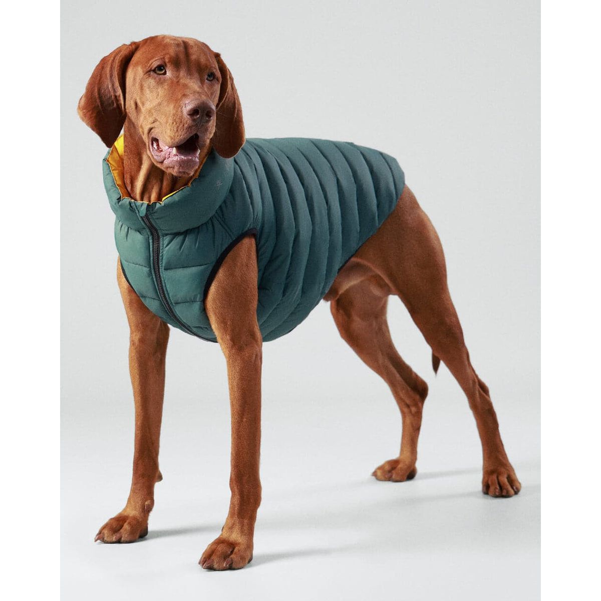 H&H Reversible Water-Resistant Puffer Coat