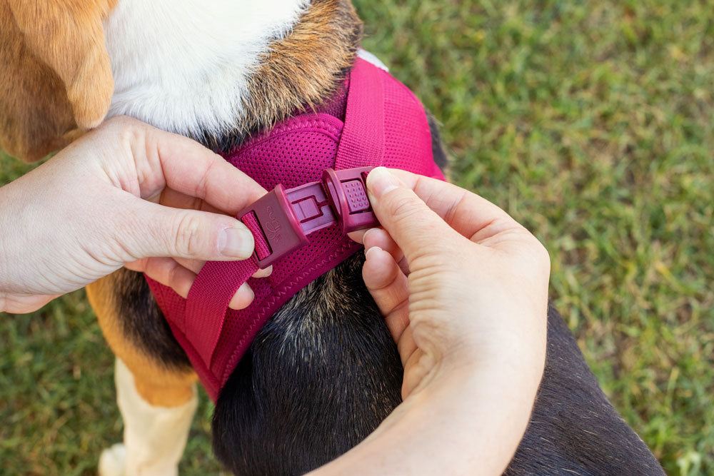 Curli Vest Dog Harness Clasp Air-Mesh Ruby Large