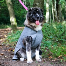 Ultimate Reflective Dog Coat - Perfect for Keeping Your Pup Safe and Stylish