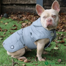 Ultimate Reflective Dog Coat - Perfect for Keeping Your Pup Safe and Stylish
