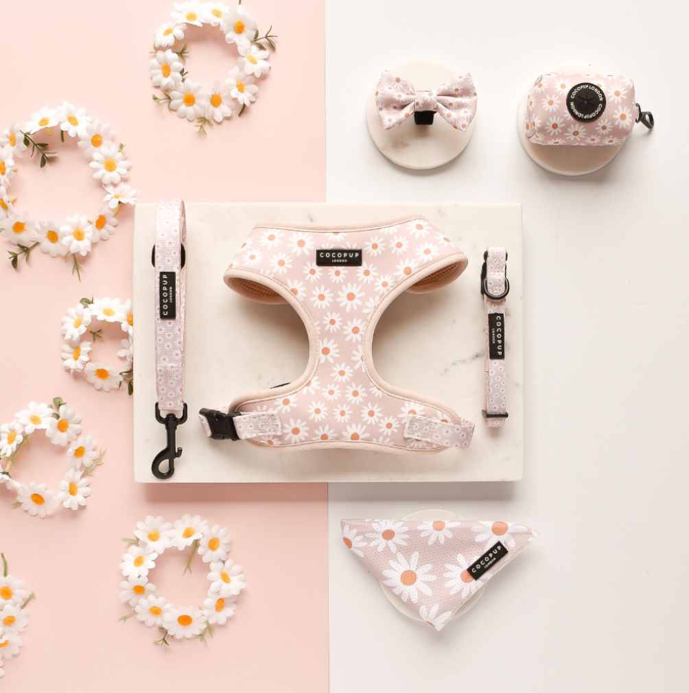 Daisy Chain Adjustable Neck Harness