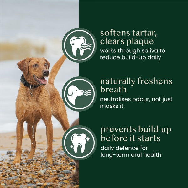 Fettle All Natural Scottish Kelp Seaweed Powder 250g Probiotic