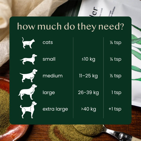 Fettle All Natural Scottish Kelp Seaweed Powder 250g Probiotic