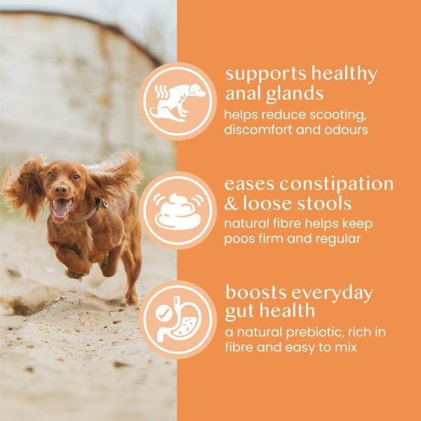 Fettle Pure And Natural Pumpkin Powder 250g Probiotic