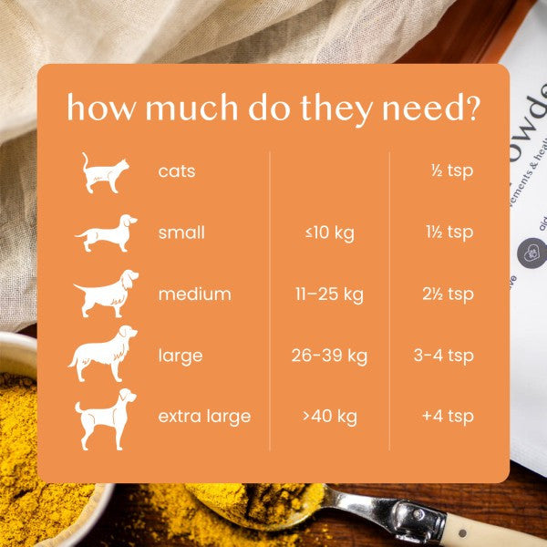 Fettle Pure And Natural Pumpkin Powder 250g Probiotic