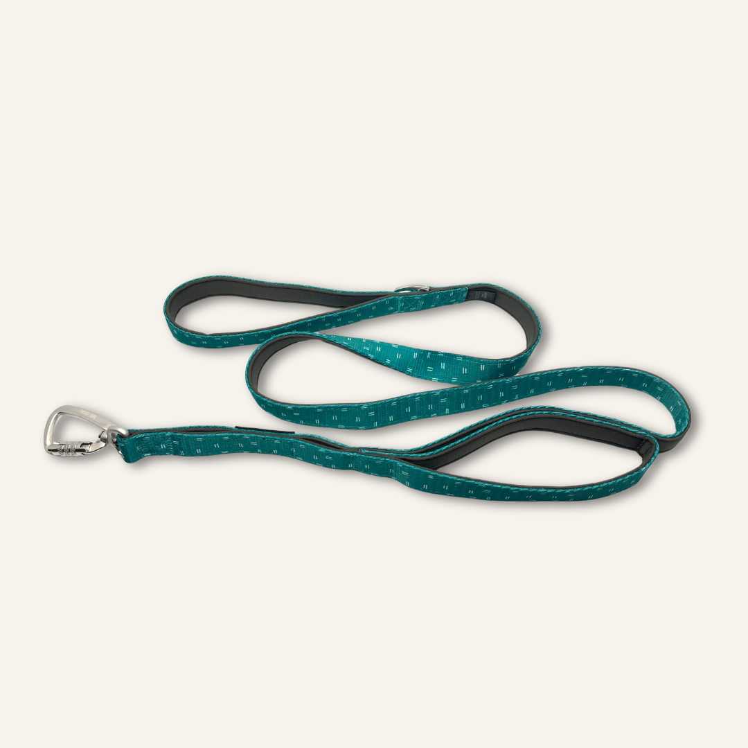 Twiggy Tags Adventure Close Control Lead - Tranquil