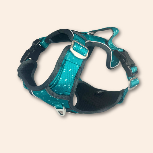 Twiggy Tags Tranquil Adventure Harness Size 2