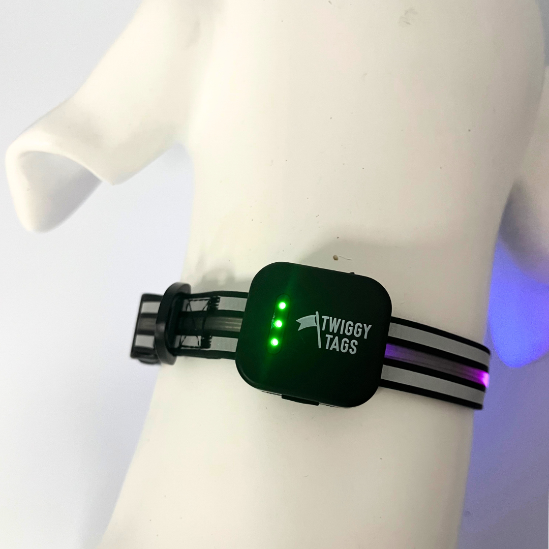 Twiggy Tags TrekBright Light-Up Collar Large