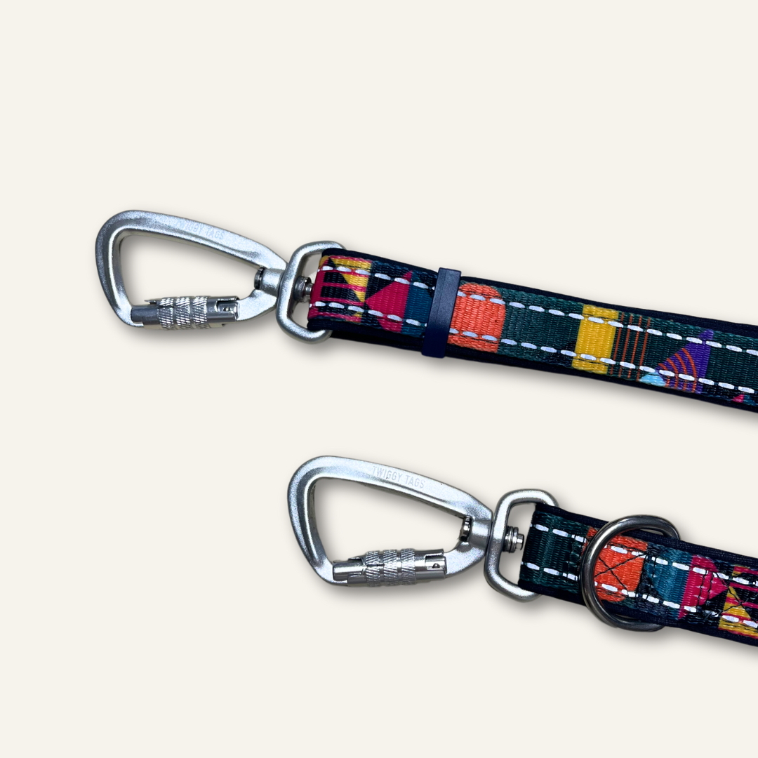 Twiggy Tags Multi-Way Lead - Aurora