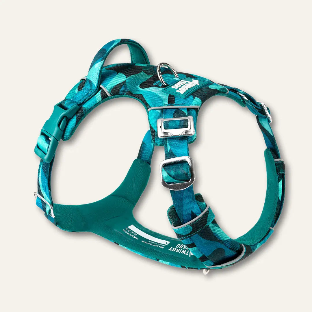 Twiggy Tags Adventure Harness Lagoon for Dogs with Adjustable Sizes and Comfortable Fit Twiggy Tags