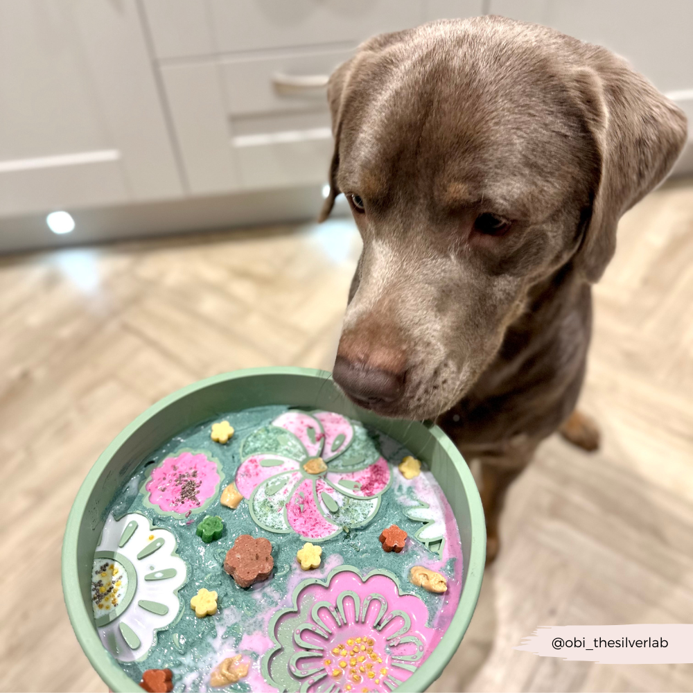 Cocopup London - Silicone Slow Feed Dog Bowl - Sage Flowers