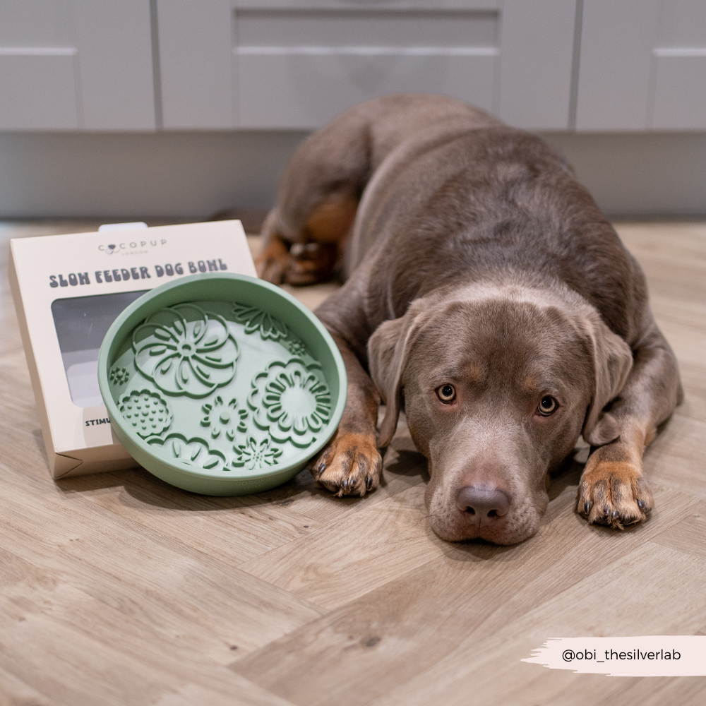Cocopup London - Silicone Slow Feed Dog Bowl - Sage Flowers