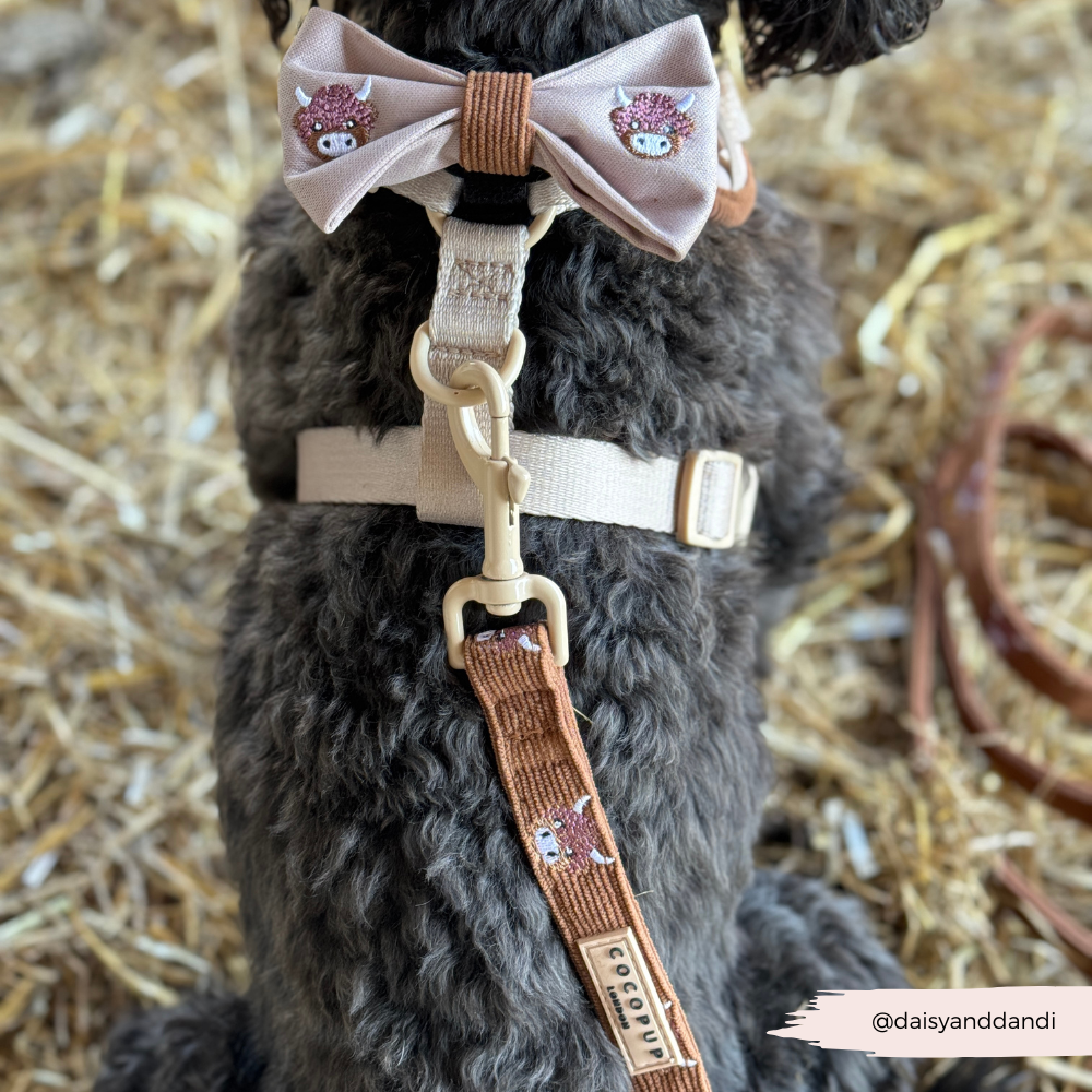 Cocopup London - Harold the Highland Cow Lead