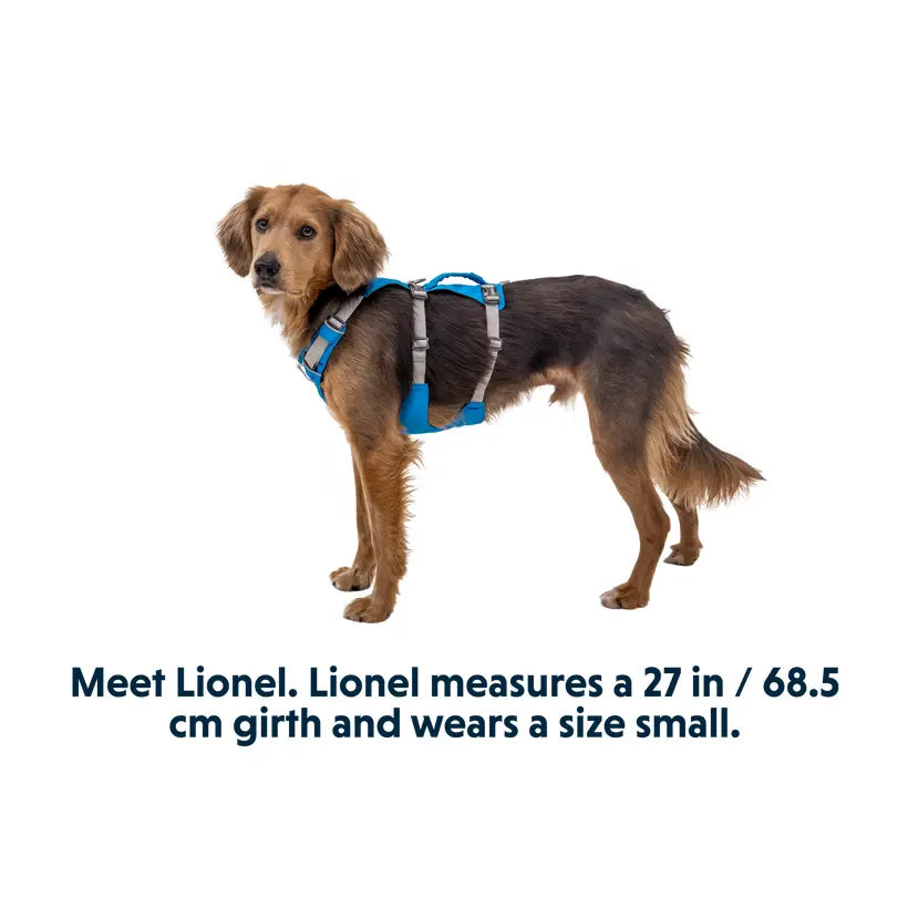 Ruffwear Flagline Harness Blue Dusk Small Pedigree