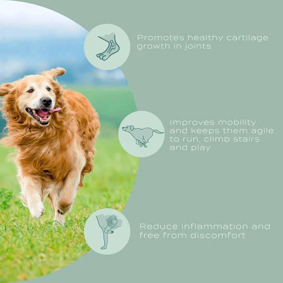 Naturecan UC-11 Joint Care Dog Chews 30 Naturecan