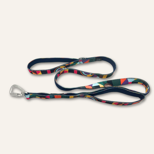 Twiggy Tags Adventure Lead with Close Control Handle Aurora 1.5m