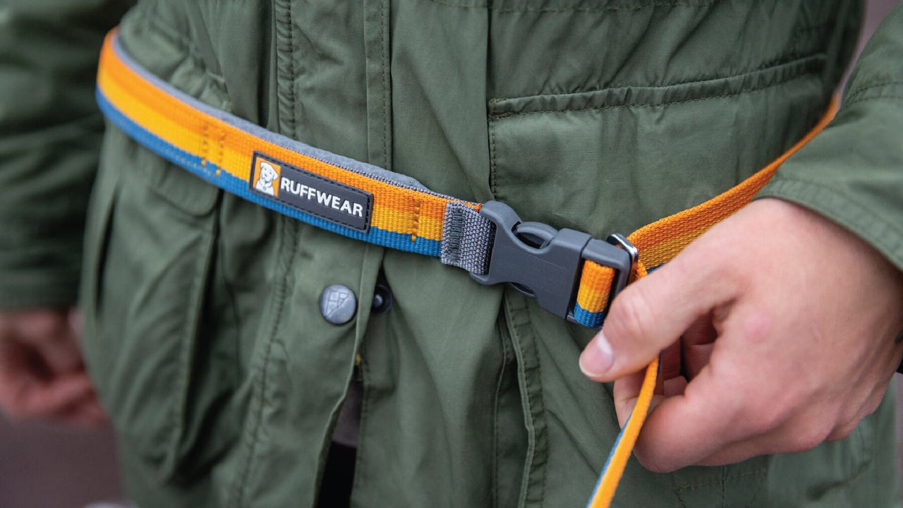 Ruffwear Roamer™ Bungee Dog Lead