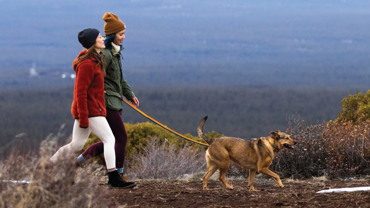 Ruffwear Roamer™ Bungee Dog Lead