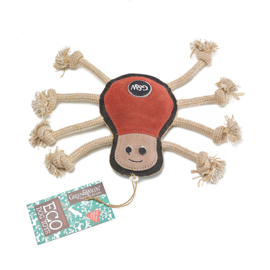 Spike the Spider