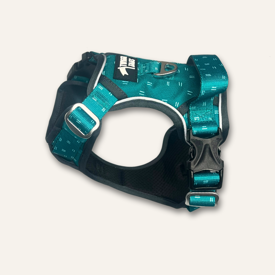 Twiggy Tags Tranquil Adventure Harness Size 1