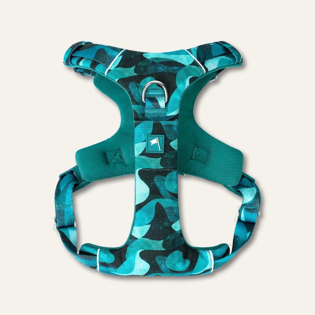Twiggy Tags Adventure Harness Lagoon for Dogs with Adjustable Sizes and Comfortable Fit Twiggy Tags