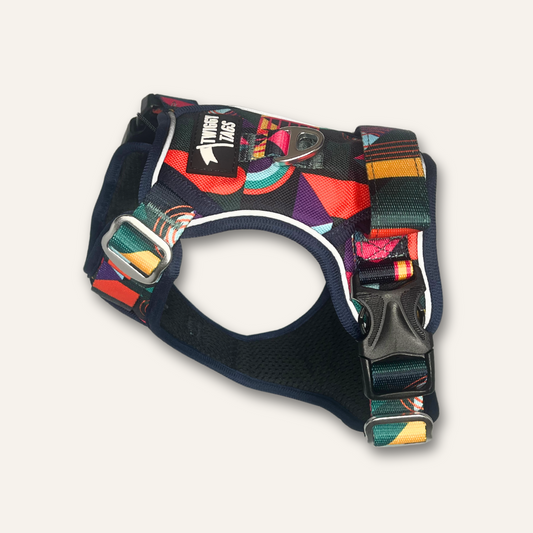 Twiggy Tags Adventure Harness Aurora Size 3 Girth 40-71cm