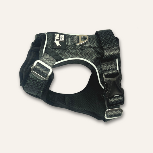 Twiggy Tags Adventure Harness Petrichor Size 1 Chest Girth 25-50cm