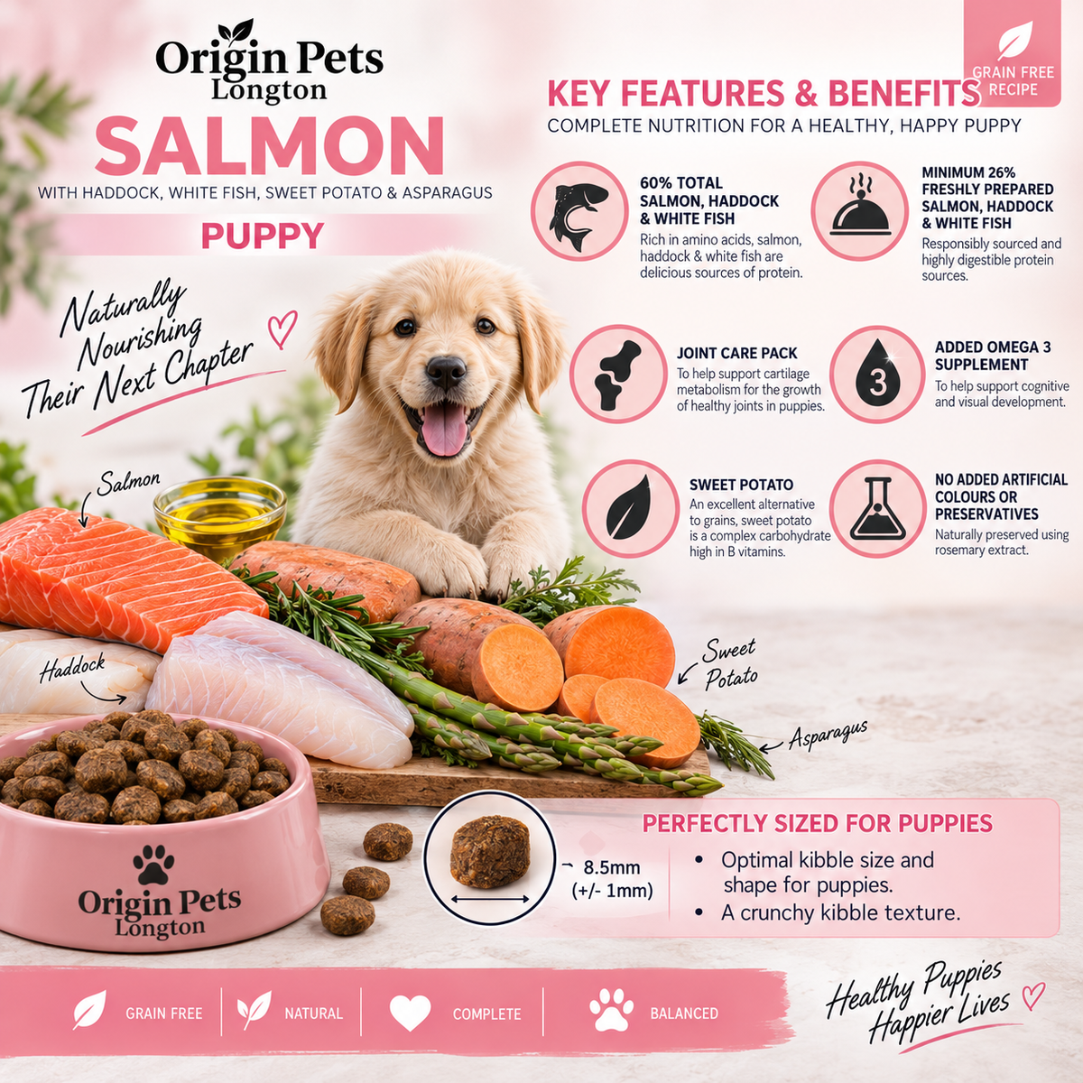 Origin Pets Salmon Puppy ingredients and features infographic