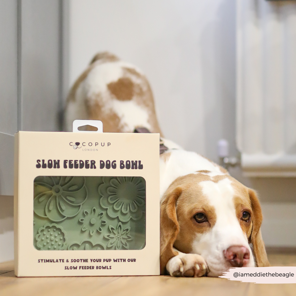 Cocopup London - Silicone Slow Feed Dog Bowl - Sage Flowers