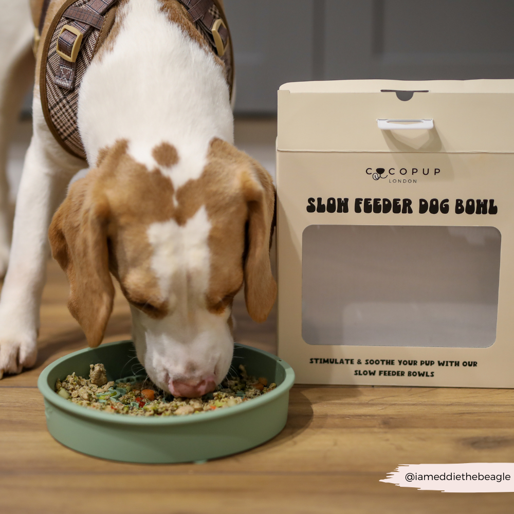 Cocopup London - Silicone Slow Feed Dog Bowl - Sage Flowers