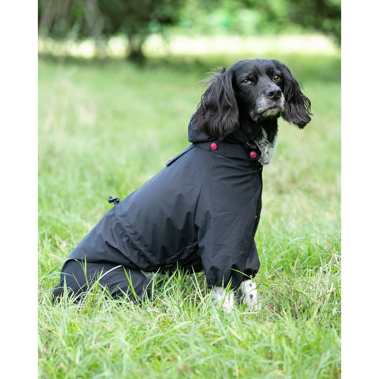 Reflective Hooded Dog Overalls - Black