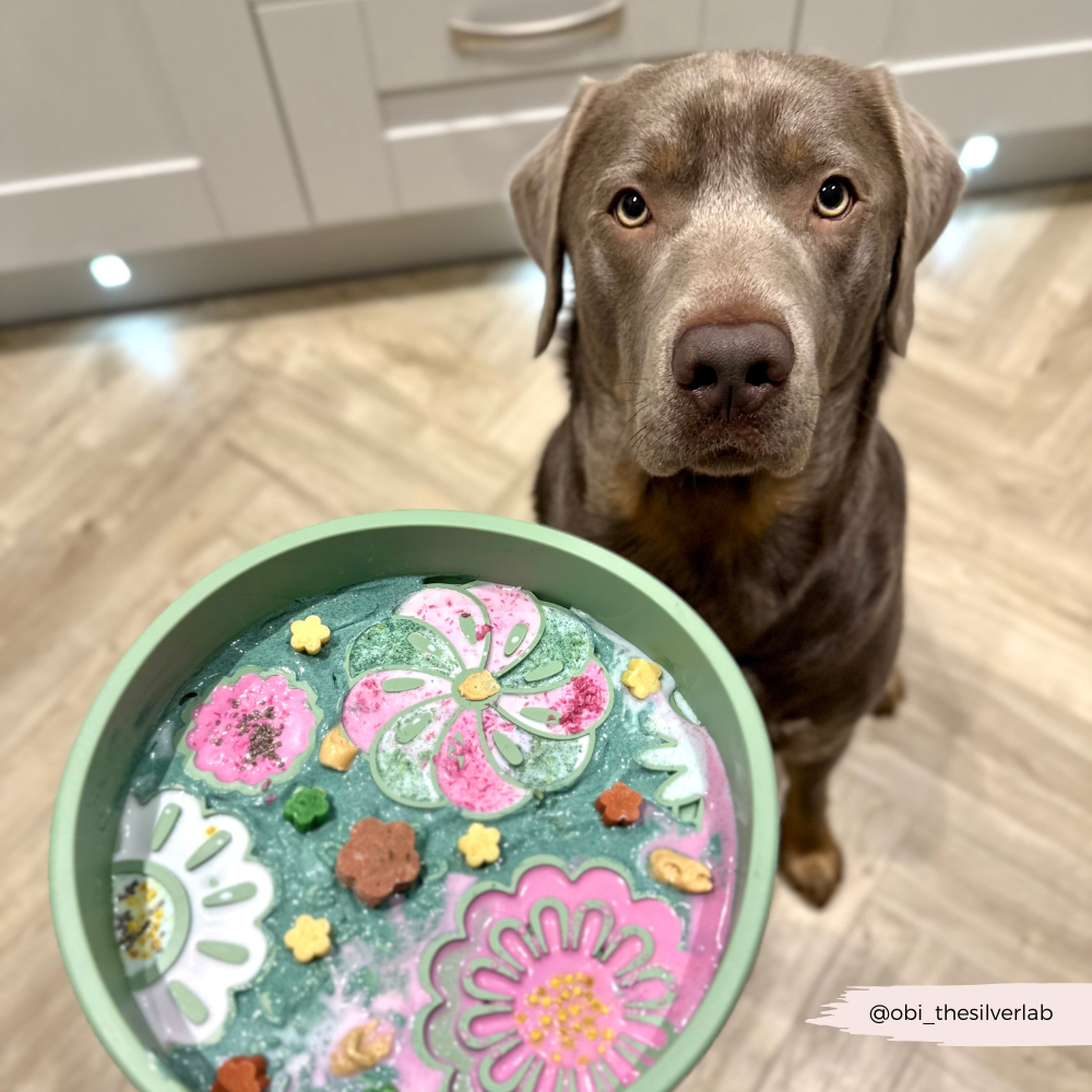 Cocopup London - Silicone Slow Feed Dog Bowl - Sage Flowers