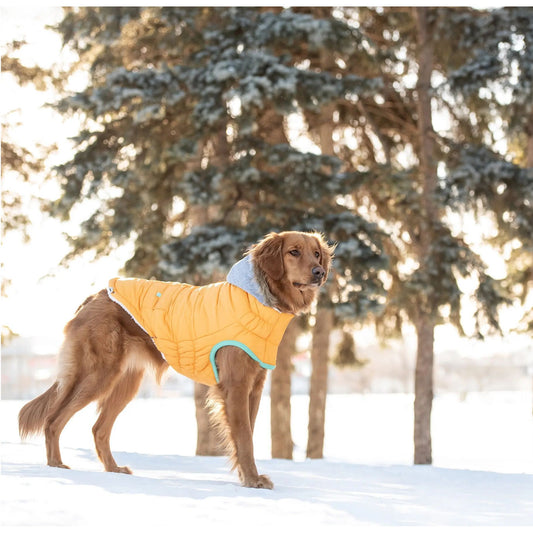 GF Pet Winter Sailor Dog Coat Yellow Medium