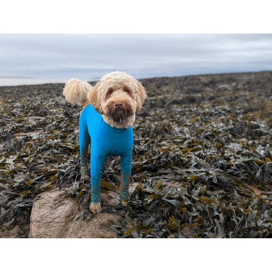 Equafleece Summersuit