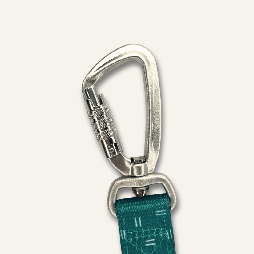Twiggy Tags Adventure Close Control Lead - Tranquil
