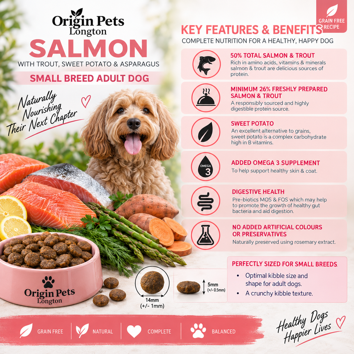 Origin Pets Salmon Small Breed Adult ingredients and features infographic