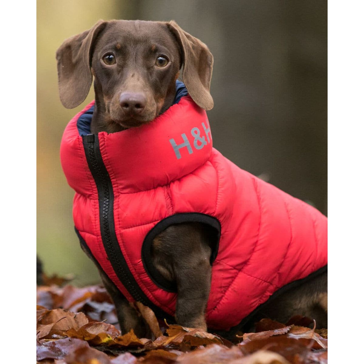 H&H Reversible Water-Resistant Puffer Coat