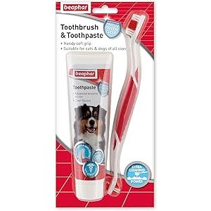 Beaphar Toothbrush And Toothpaste