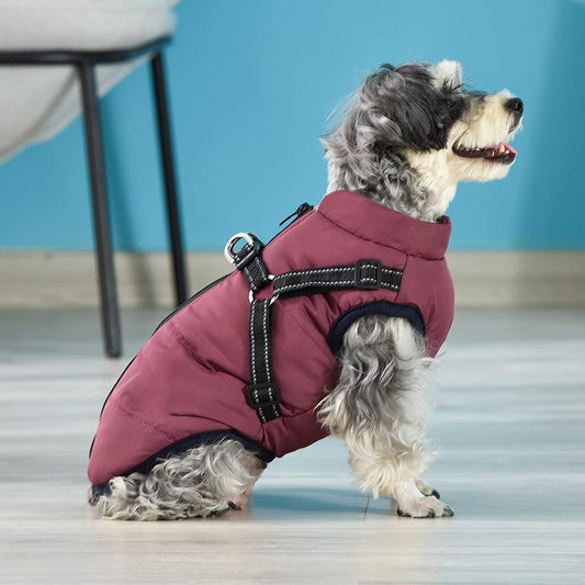 Wintro - Quilted Waterproof Dog Coat with Harness Built In - 2XL