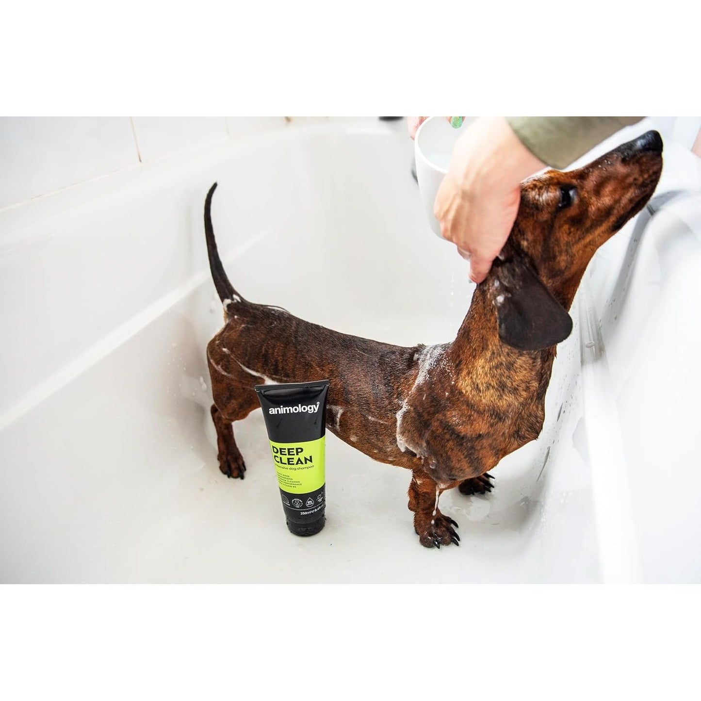 Animology Deep Clean Intensive Dog Shampoo