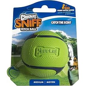 Chuckit! Sniff Fetch Ball Peanut Butter Medium 1pk