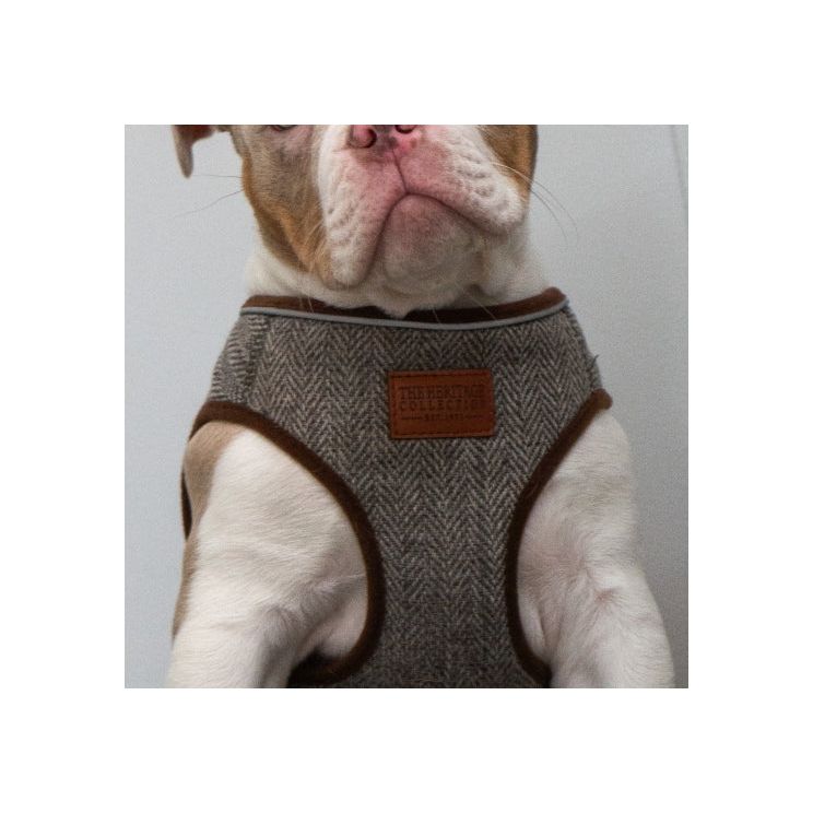 Herringbone Step In Harness