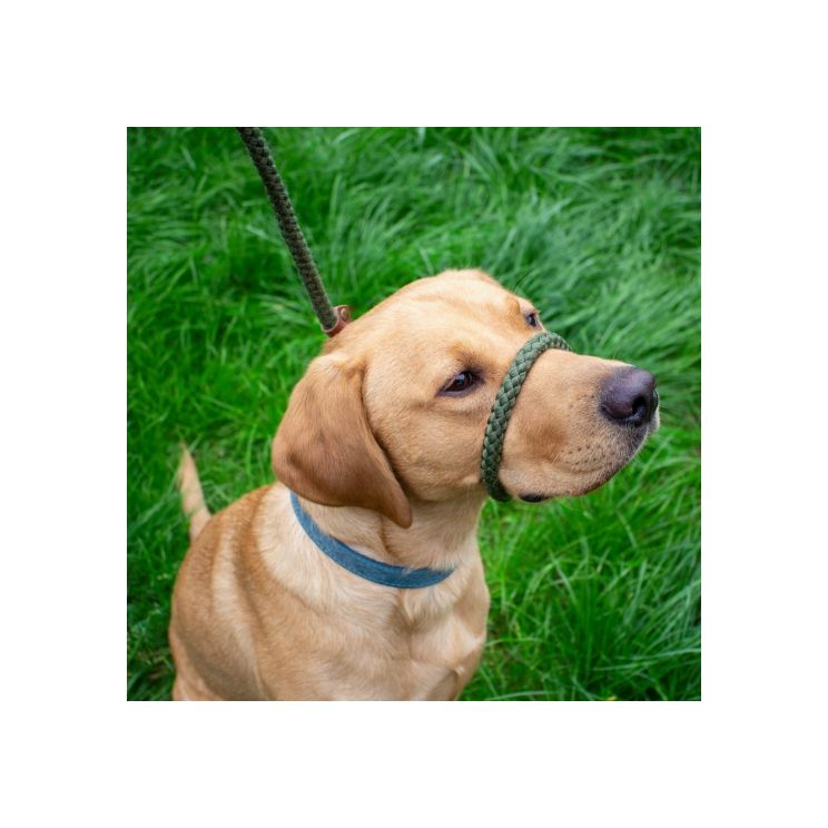 Heritage Rope Slip Lead Green 1.5m x 12mm