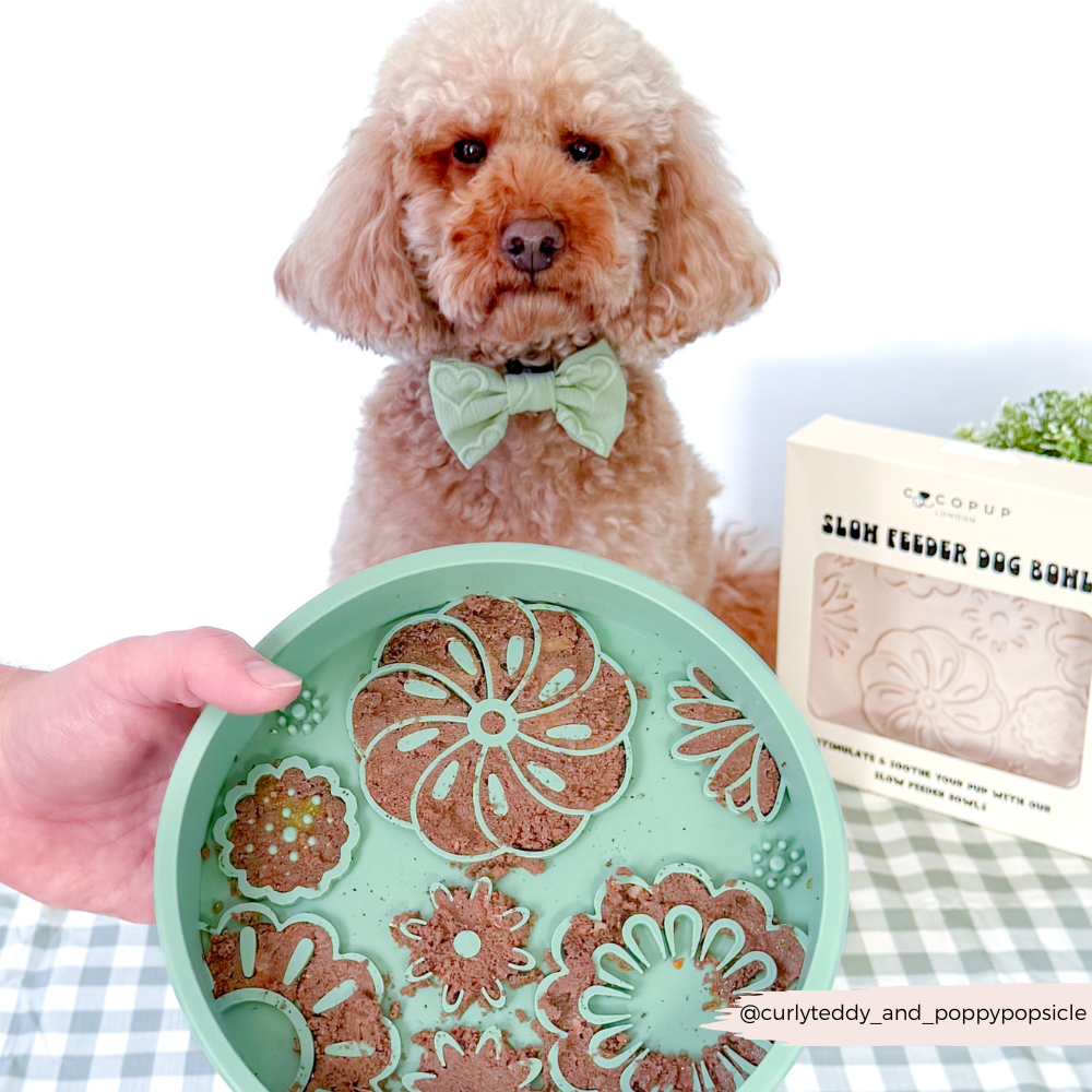 Cocopup London - Silicone Slow Feed Dog Bowl - Sage Flowers