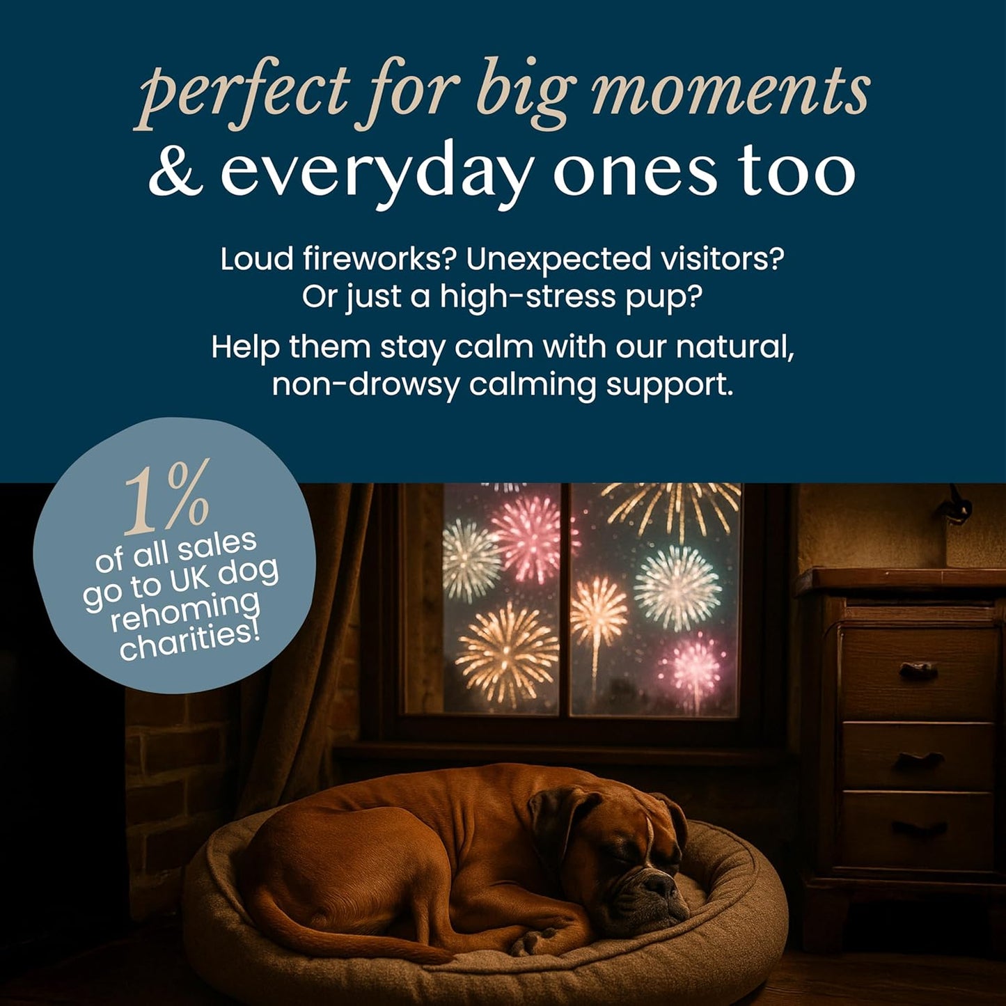 Fettle Pure & Gentle Calming Support Powder For Dogs 125g