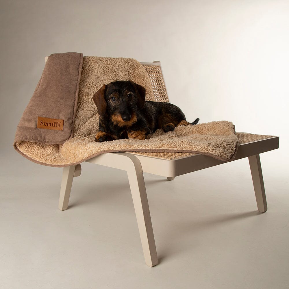 Scruffs Snuggle Blanket - Caramel Brown