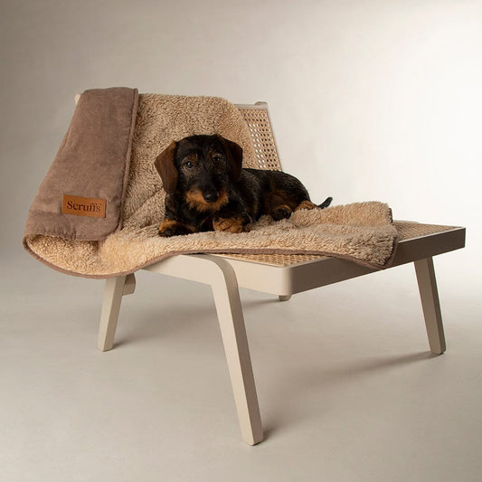 Scruffs Snuggle Blanket - Caramel Brown