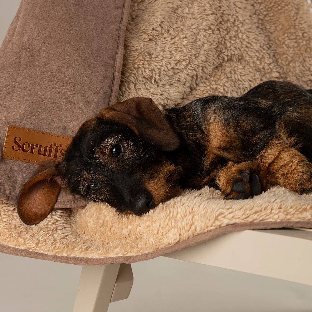 Scruffs Snuggle Blanket - Caramel Brown